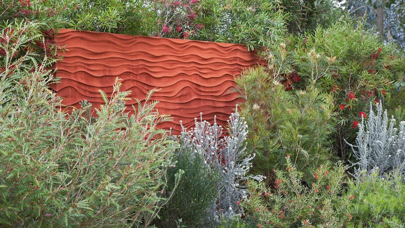 Australian native plants in a garden.