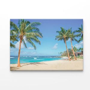 Palm Trees on The Sandy Beach in Hawaii  Print 100% Australian Made 120 x 90cm  (Acrylic)