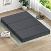 STARRY EUCALYPT Folding Mattress 3-Fold Foldable Foam Double Grey