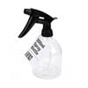 All Set 500ml Glass Spray Bottle