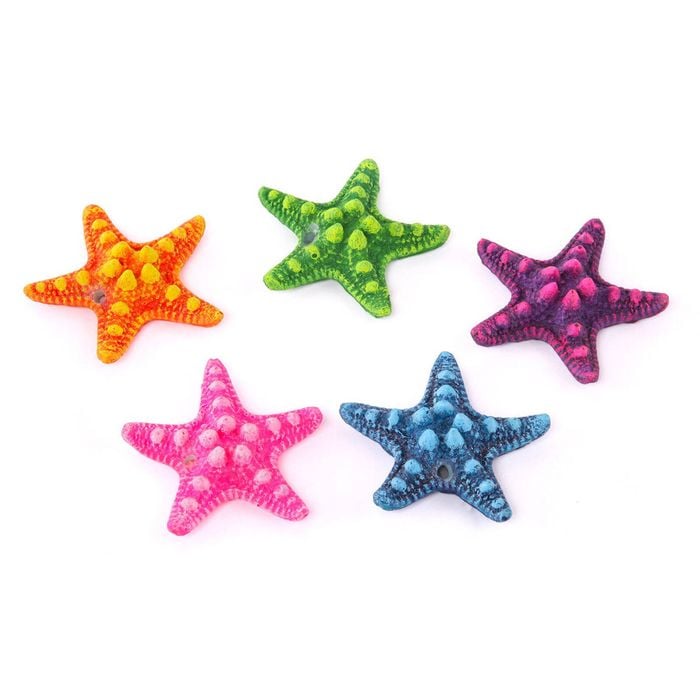 Kazoo Starfish 5 Pack (19033)