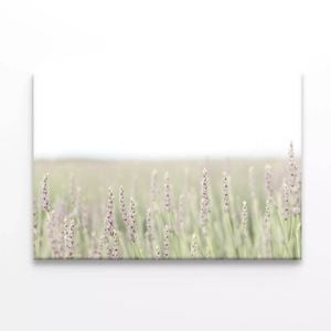 Lavender with Grass & Plants  Print 100% Australian Made 90 x 60cm  (Stretched)