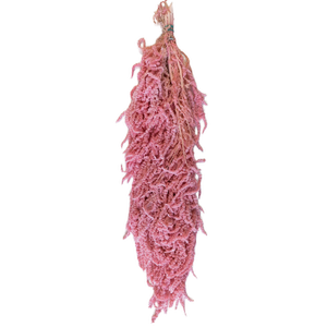 Blooms Of Joy 50-80cm Pink Amaranthus Flowers