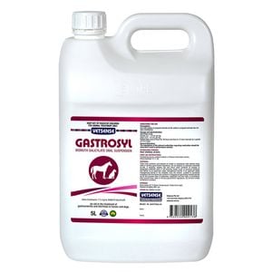 Vetsense Gastrosyl For Dogs & Horses  5 Litre
