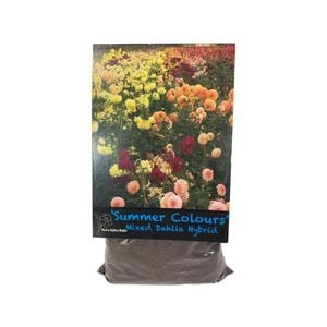 Yarra Valley Bulbs Dahlia Summer Colour Mix - 2 Pack