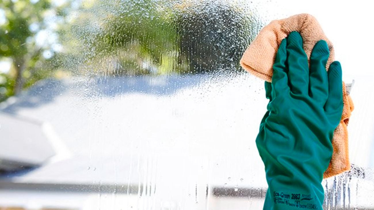 A gloved hand cleaning a window