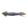 Berkley Gulp Squid 3" Soft Plastic Fishing Lure Watermelon Pearl Black Fleck