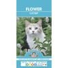 Mr Fothergill's Catnip Seeds