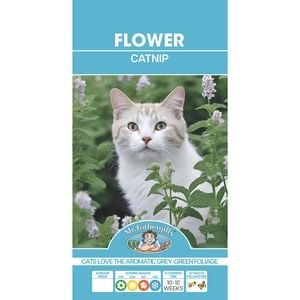 Mr Fothergill's Catnip Seeds