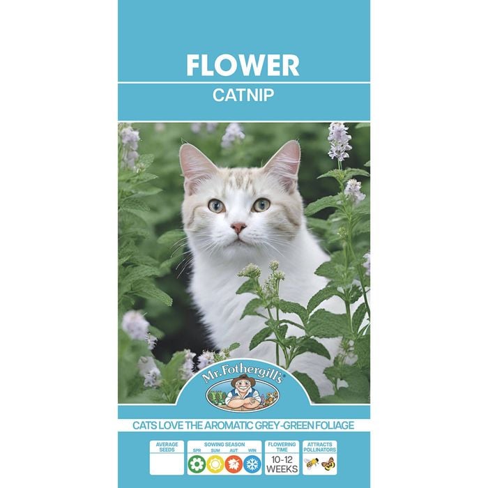 Mr Fothergill's Catnip Seeds