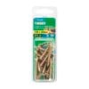 Zenith 10G x 40mm Gold Passivated Timber Countersunk Head Screw - 20 Pack