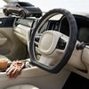 Australian Goose Steering Wheel Cover for Kia EV 4 2026 - Current D-shape Black