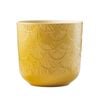 Borralheira 160mm Yellow Palm Indoor Ceramic Pot