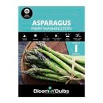 Bloomin' Bulbs Asparagus Mary Washington - 1 Pack