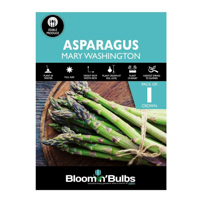 Bloomin' Bulbs Asparagus Mary Washington - 1 Pack