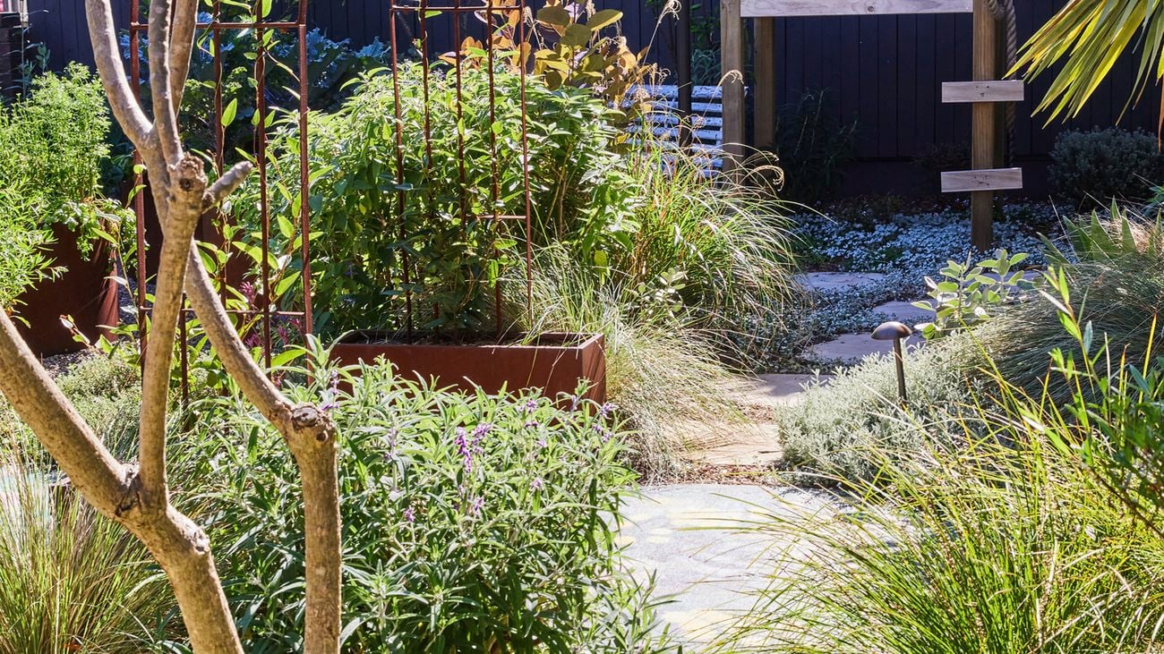 Sunny garden with shrubs and grasses, a weathered steel arch and planters, a stone path through gravel and a dark timber fence at the back.