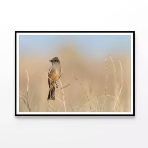 Bird Perched On a Branch  Print 100% Australian Made 120x90cm  (Poster)