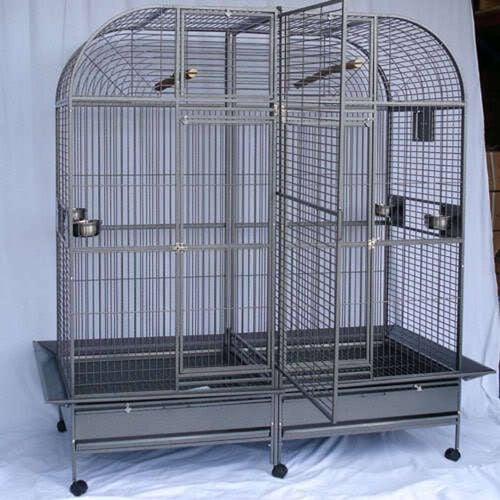 Double bird cage afterpay sale