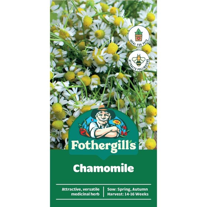 Fothergill's Chamomile Seeds