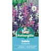 Fothergill's Salvia Tricolour Mix Flower Seed