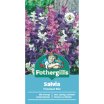 Fothergill's Salvia Tricolour Mix Flower Seed