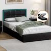 Oikiture Bed Frame RGB LED Gas Lift Single Black