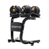 PowerTrain 48kg Gold Adjustable Dumbbell Set With Stand