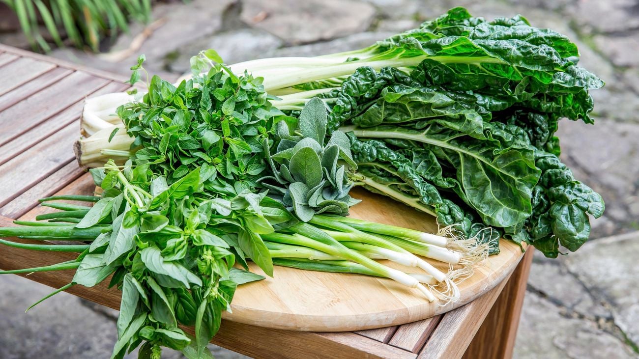 silverbeet, oregano and spring onion laid out on a chopping board