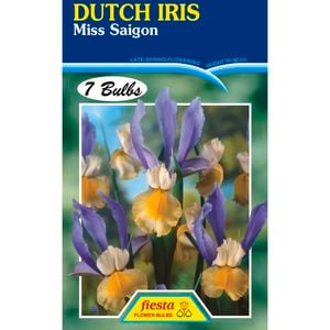 Fiesta Flower Bulbs Dutch Iris Miss Saigon - 7 Bulbs