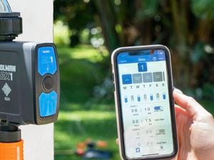 Image for article: Control your garden watering system with a Holman tap timer