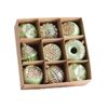 Catzon 9 Pcs Green Christmas Tree Ornaments with Donut Cake for Holiday Indoor Decor