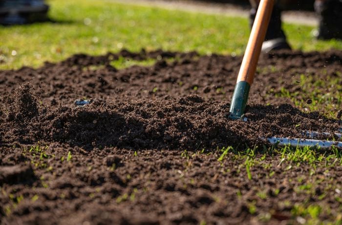 Transform your lawn: The power of topdressing for lush growth 