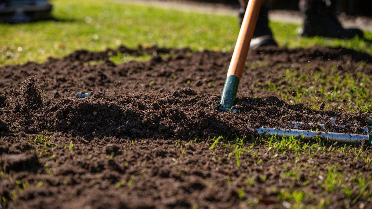 Transform your lawn: The power of topdressing for lush growth