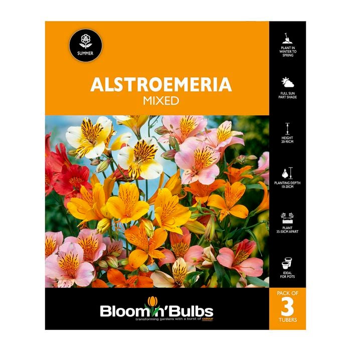 Bloomin' Bulbs - Alstromeria Tall Mixed - 3 Pack