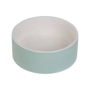 Baxter Bone Large Pastel Mint Ceramic Pet Bowl
