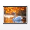 Swans on Autumn Pond  Print 100% Australian Made 90x60cm  (Poster)