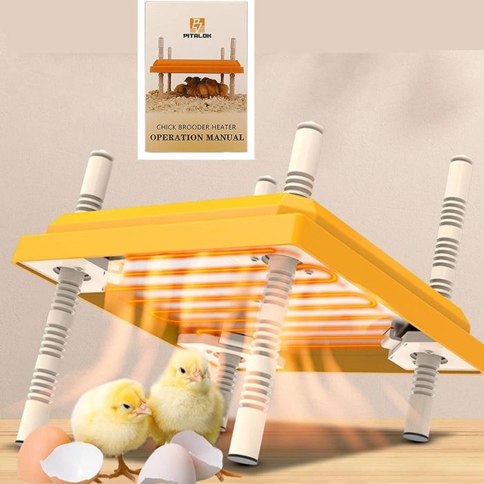FOHOA Brooder Heater for Chicks Heating Plate with Easy Cleaning Plate