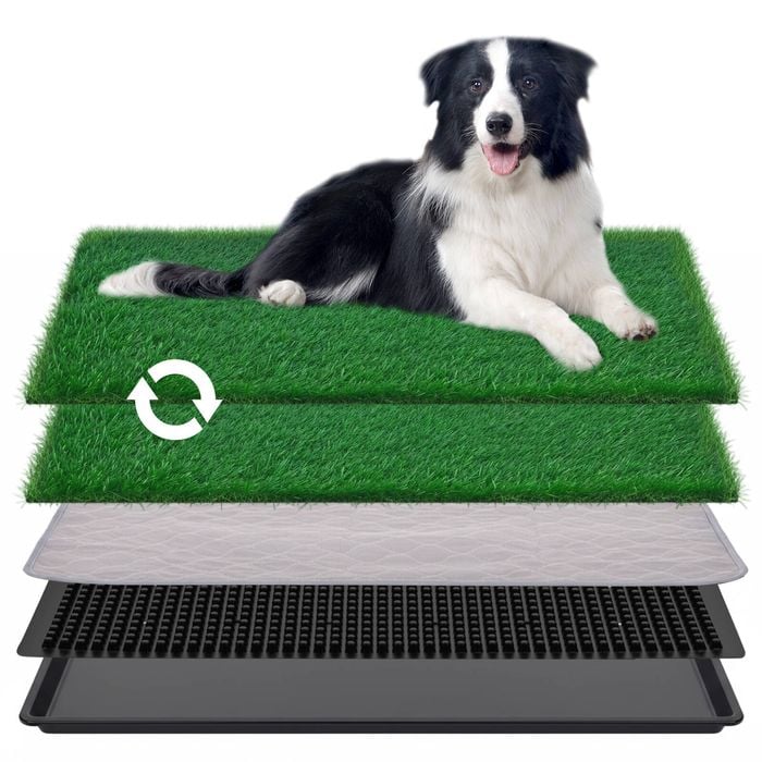 Advwin Dog Potty Portable Pet Training Toilet Indoor Large Reusable Pee Pad 2 Grass Mat