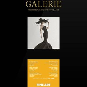 Ilford Galerie Fine Art Smooth 200gsm 24 61cm x 15m Roll GPFAS