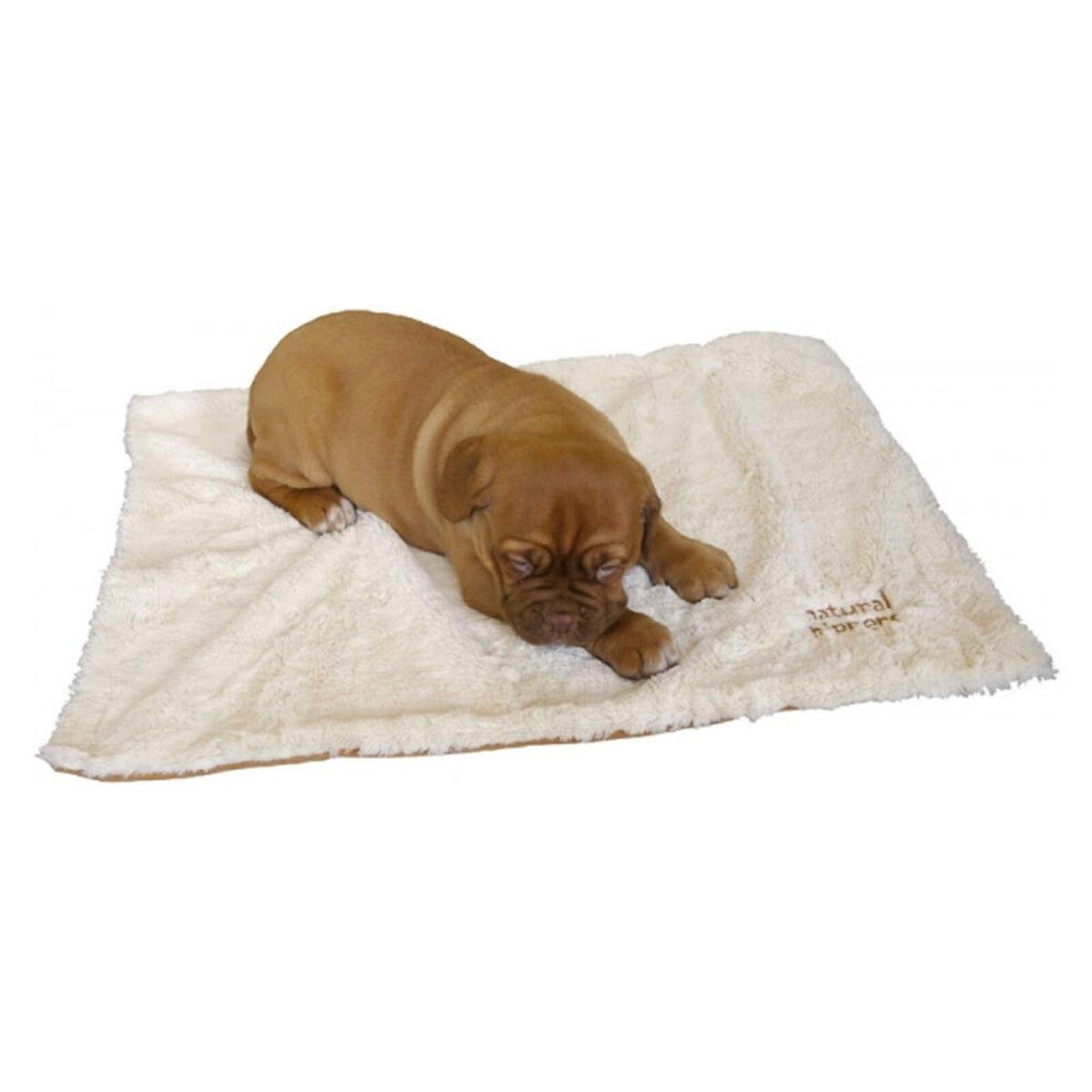 Puppy blankets hotsell