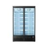 Thermaster Lg-1000bgbmf Double Door Supermarket Freezer