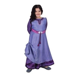 Wish Asha Deluxe Dress Costume Halloween Party Cosplay Kids Size 3-5y Purple