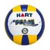 Hart Beach Volleyball