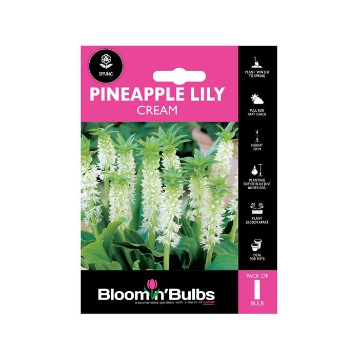 Bloomin' Bulbs Pineapple Lily Cream - 1 Pack