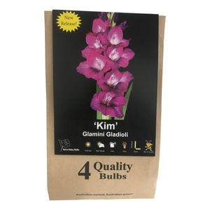 Yarra Valley Bulbs Gladioli Kim - 4 Pack