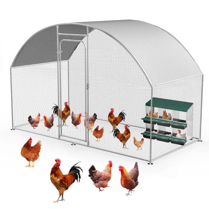 Advwin Large Dome Walk-in Chicken Coop with 6-Hole Nesting Box for Backyard Poultry