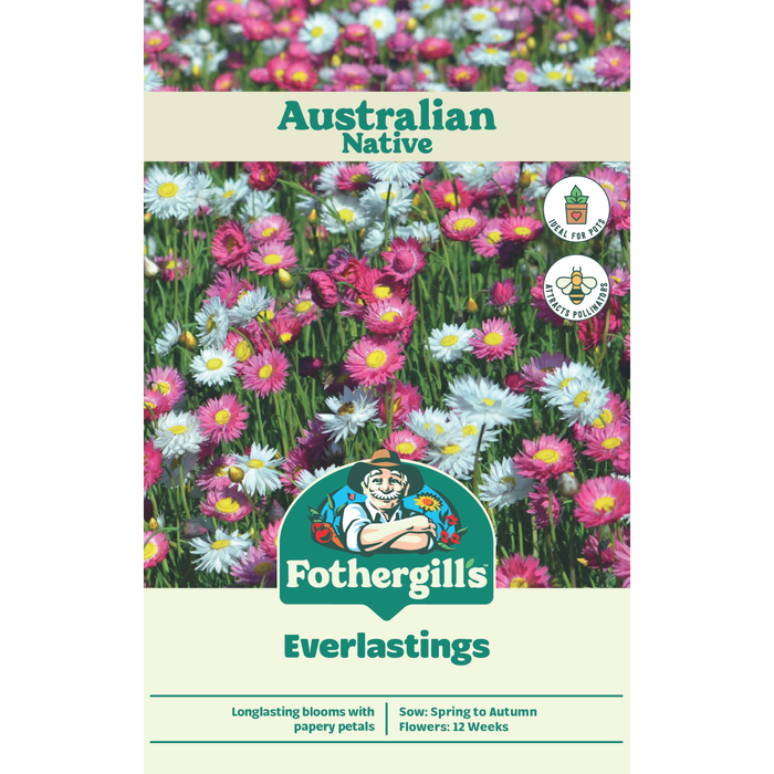 Fothergill's Australian Native Wildflower Everlastings Seeds