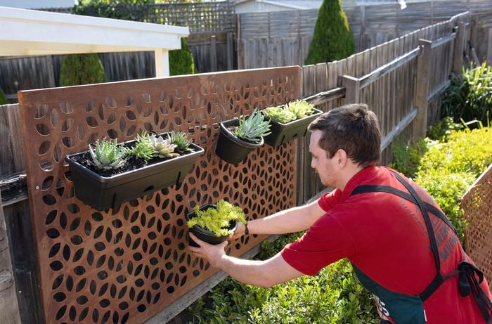 A person hanging a potted plant on a steel screen on a paling fence