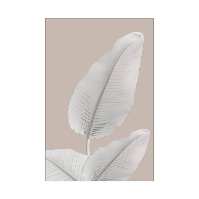 Artey | Blush Paridise I - Stretched Canvas - Stretched Canvas - 100 x 150cm