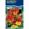 Fiesta Flower Bulbs Gloriosa Climbing Lily